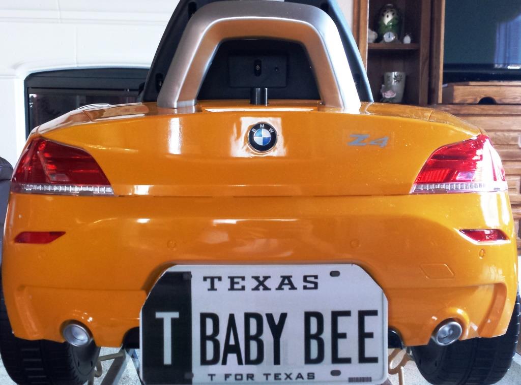 Baby Bee Lo Res.jpg