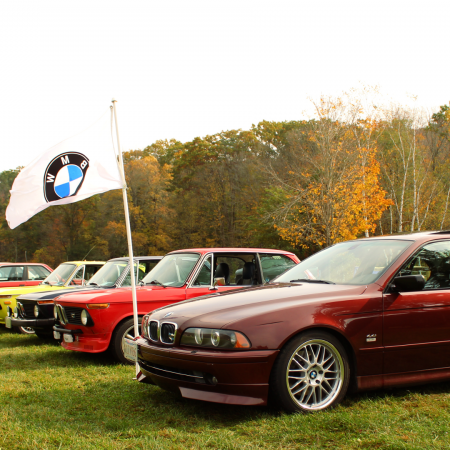 BMW in Grafton